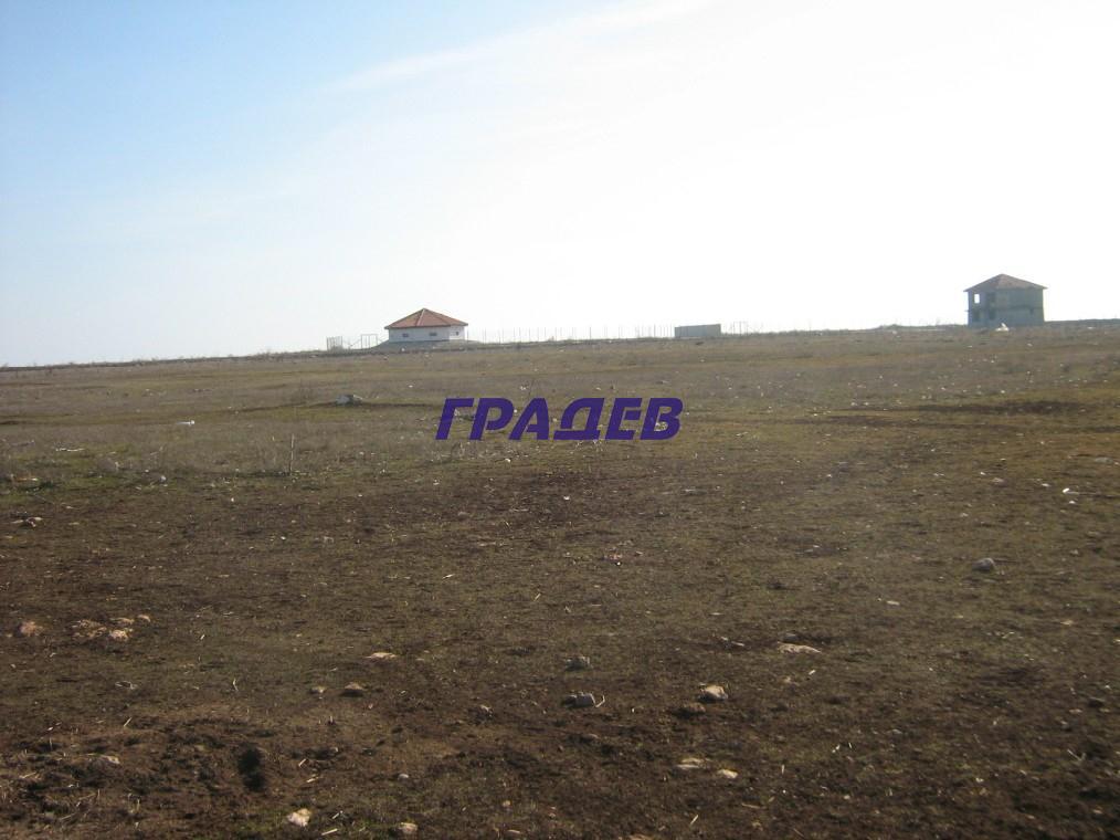 1823 - Агенция за недвижими имоти Варна - Екипът