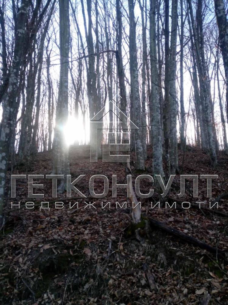 Боженци, Габровска област - Агенция за недвижими имоти Варна - Екипът, имот 4