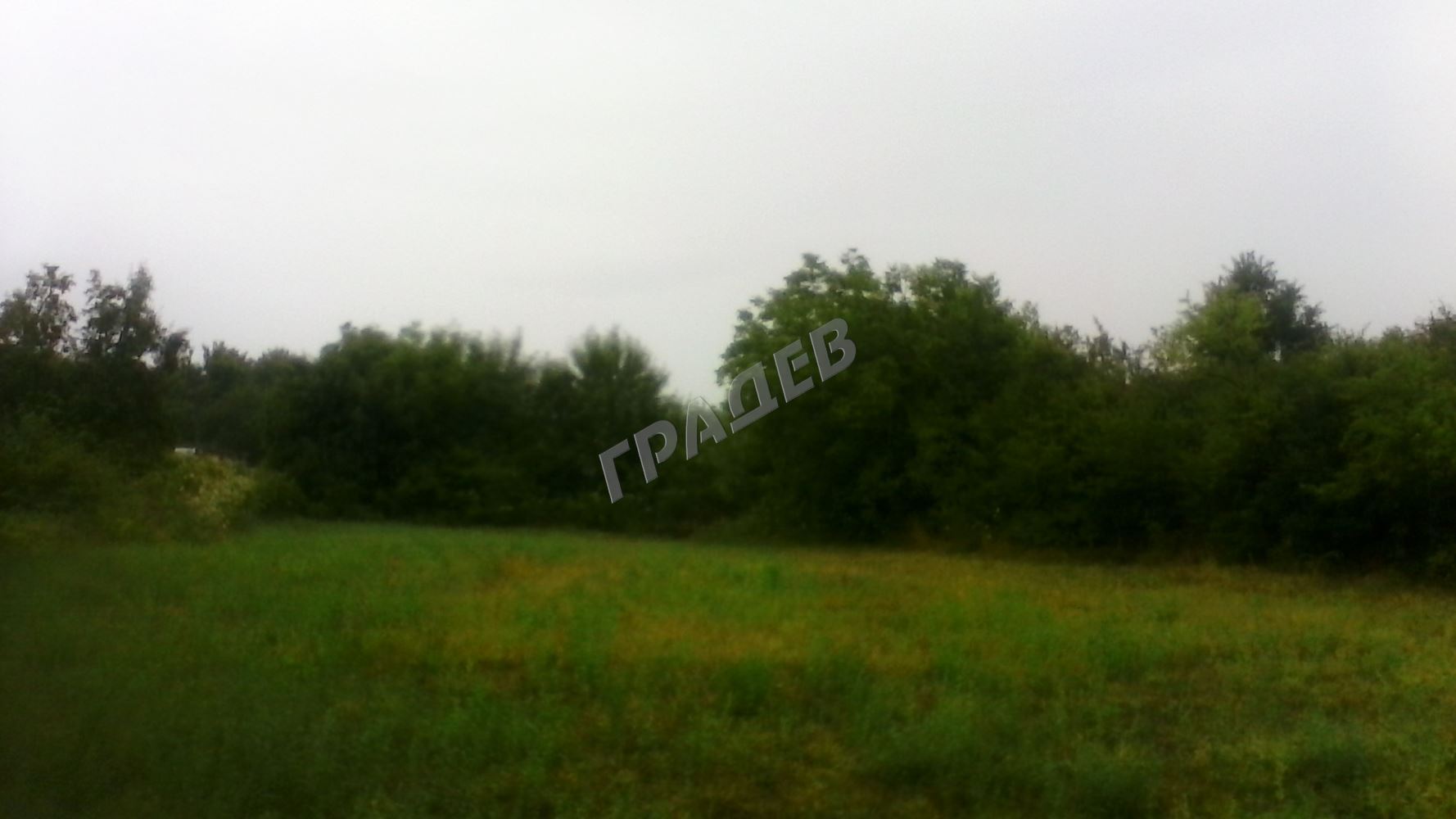 8470 - Агенция за недвижими имоти Варна - Екипът