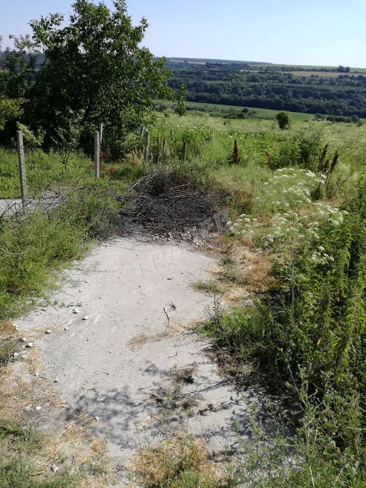 9160 - Агенция за недвижими имоти Варна - Екипът