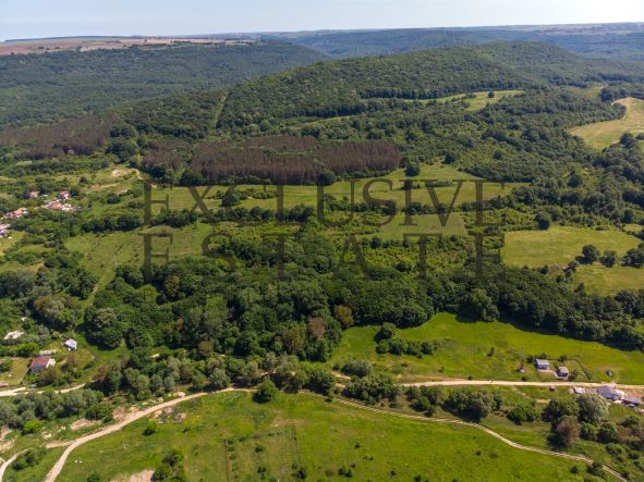 Ексклузивно!!! Парцел в регулация за продажба в с. Долище, обл. Варна! - Агенция за недвижими имоти Варна - Екипът