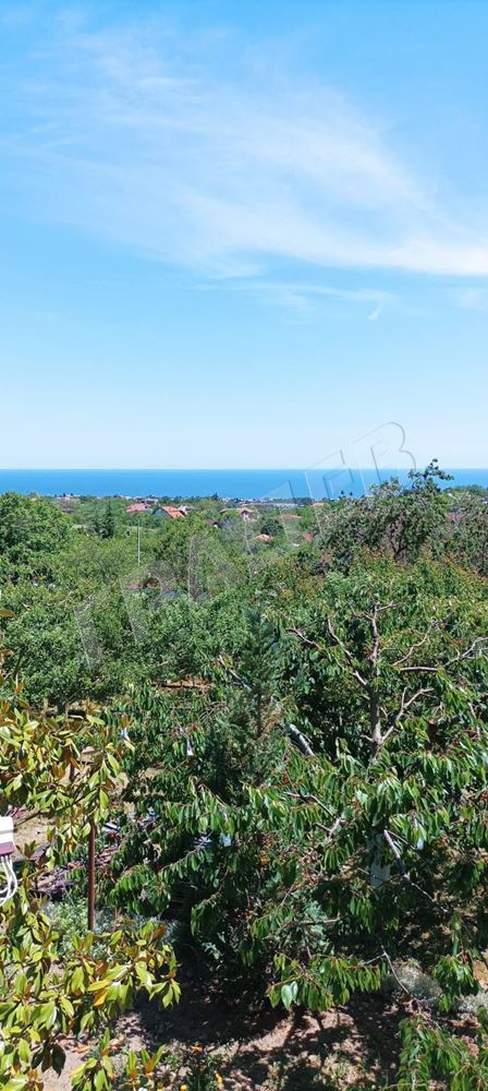 ПАРЦЕЛ- ГОРНА ТРАКА - Агенция за недвижими имоти Варна - Екипът, имот 1