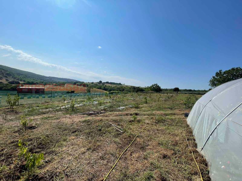 Ексклузивно! Парцел за продажба в района на гр. Белослав, обл. Варна! - Агенция за недвижими имоти Варна - Екипът, имот 4