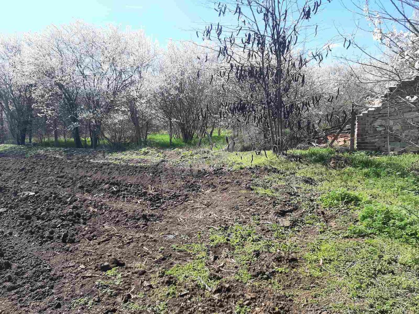 Парцел в с. Поручик Чунчево. - Агенция за недвижими имоти Варна - Екипът