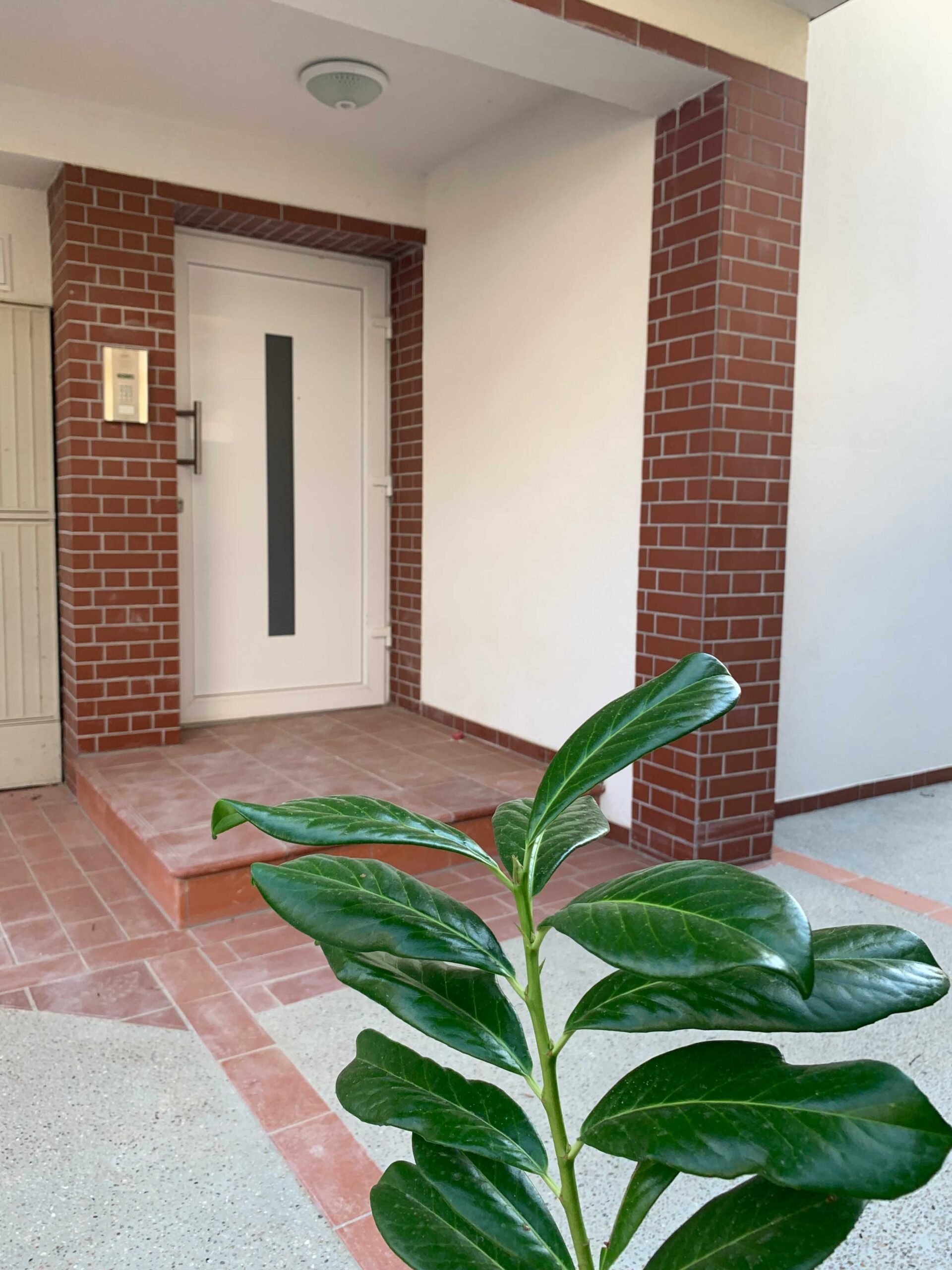 Двустаен апартамент кв.Виница - Агенция за недвижими имоти Варна - Екипът, имот 3