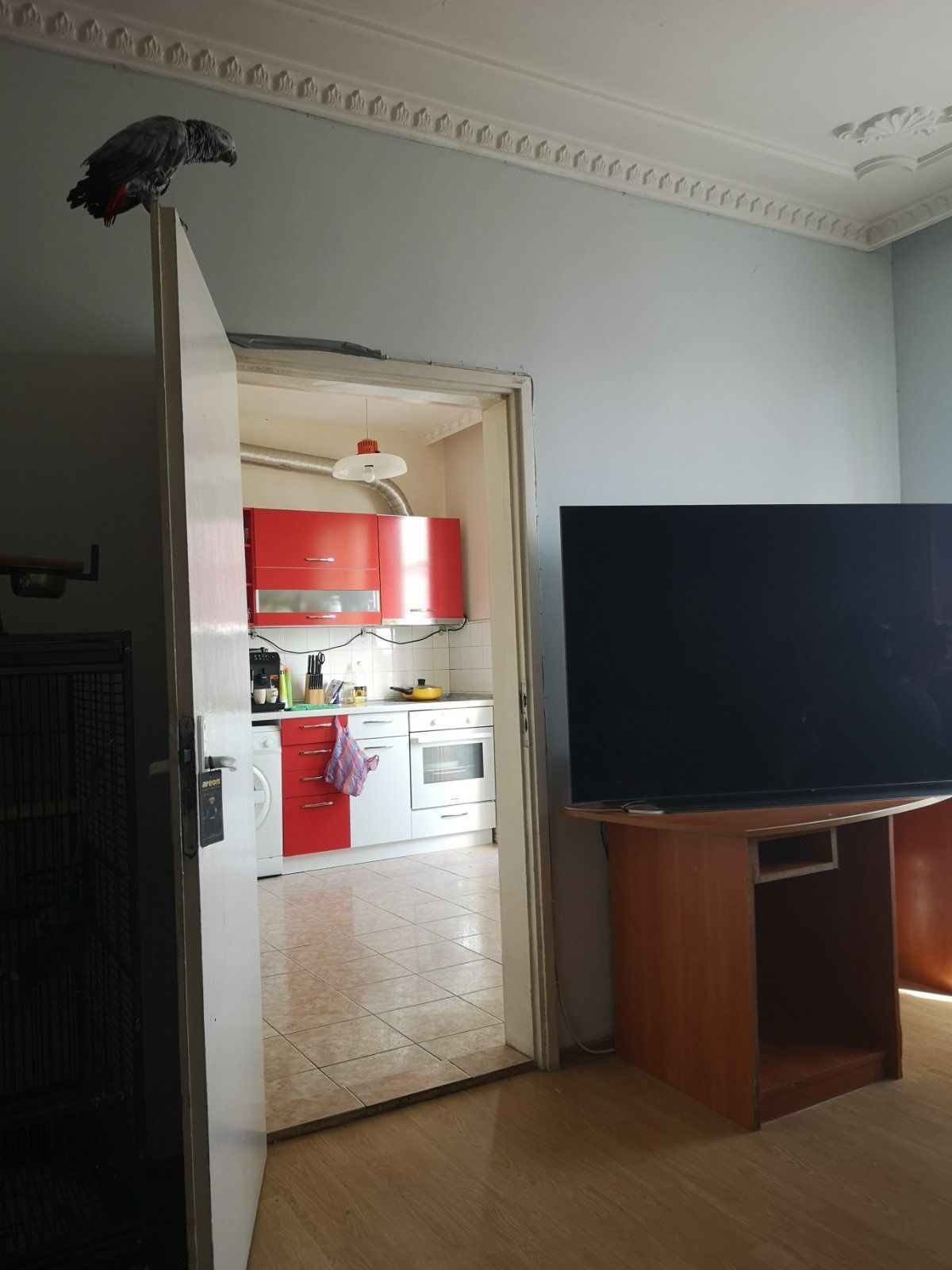 3892 - Агенция за недвижими имоти Варна - Екипът, имот 2