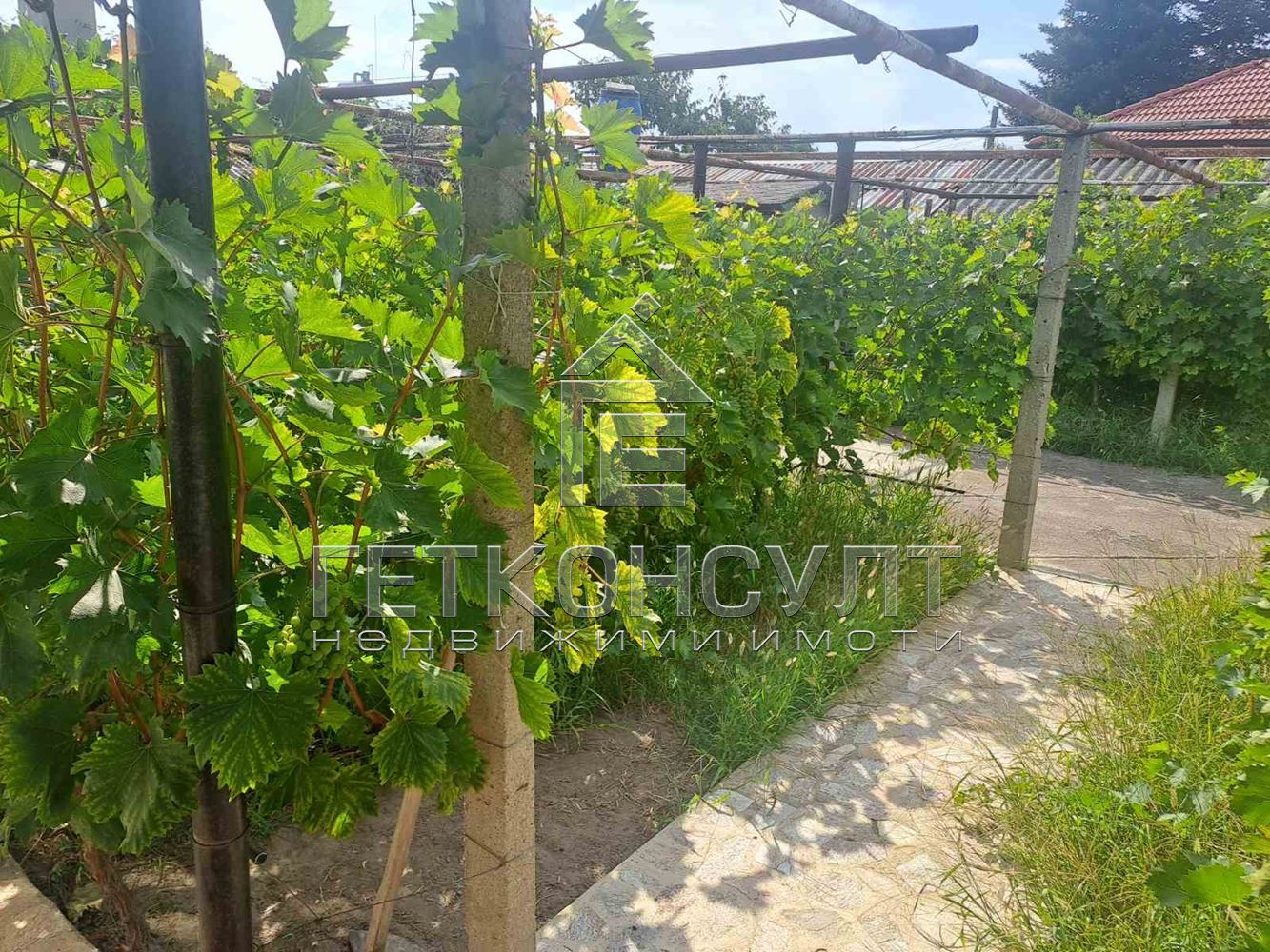 с.Бенковски, самостоятелна къща с образцов  двор - Агенция за недвижими имоти Варна - Екипът, имот 4