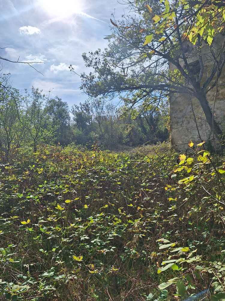 Отдавам ПАРЦЕЛ под наем Приселци – Харамията - Агенция за недвижими имоти Варна - Екипът, имот 2