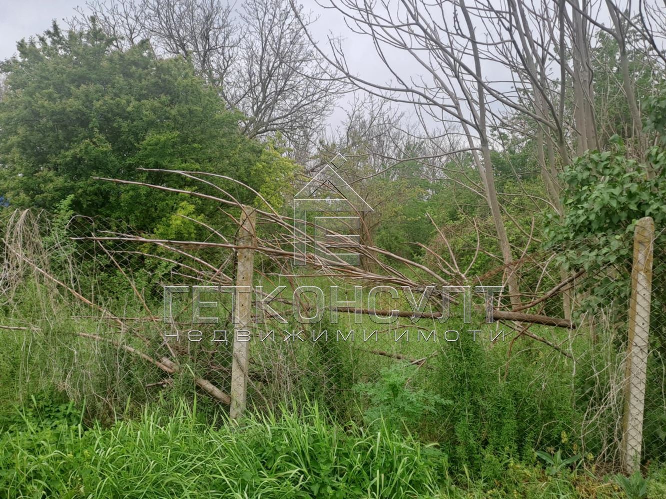 с.Неофит Рилски, област  Варна, община Ветрино, парцел с ток и вода - Агенция за недвижими имоти Варна - Екипът, имот 2