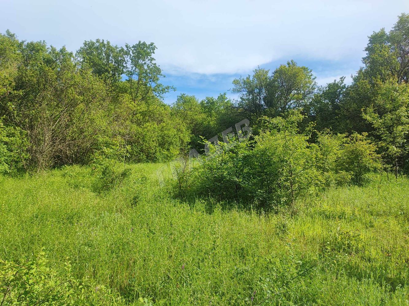 Парцел в с. Долище. - Агенция за недвижими имоти Варна - Екипът, имот 1