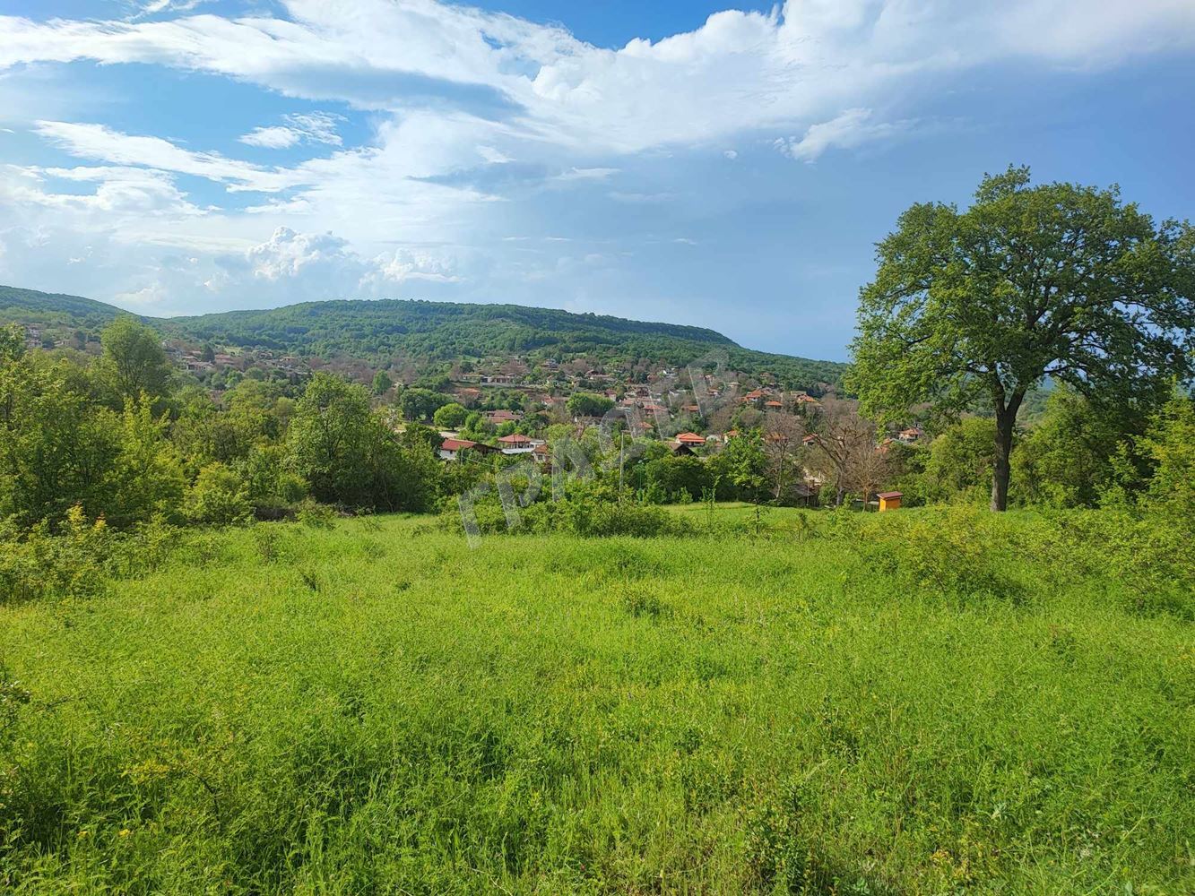 Парцел в с. Долище. - Агенция за недвижими имоти Варна - Екипът