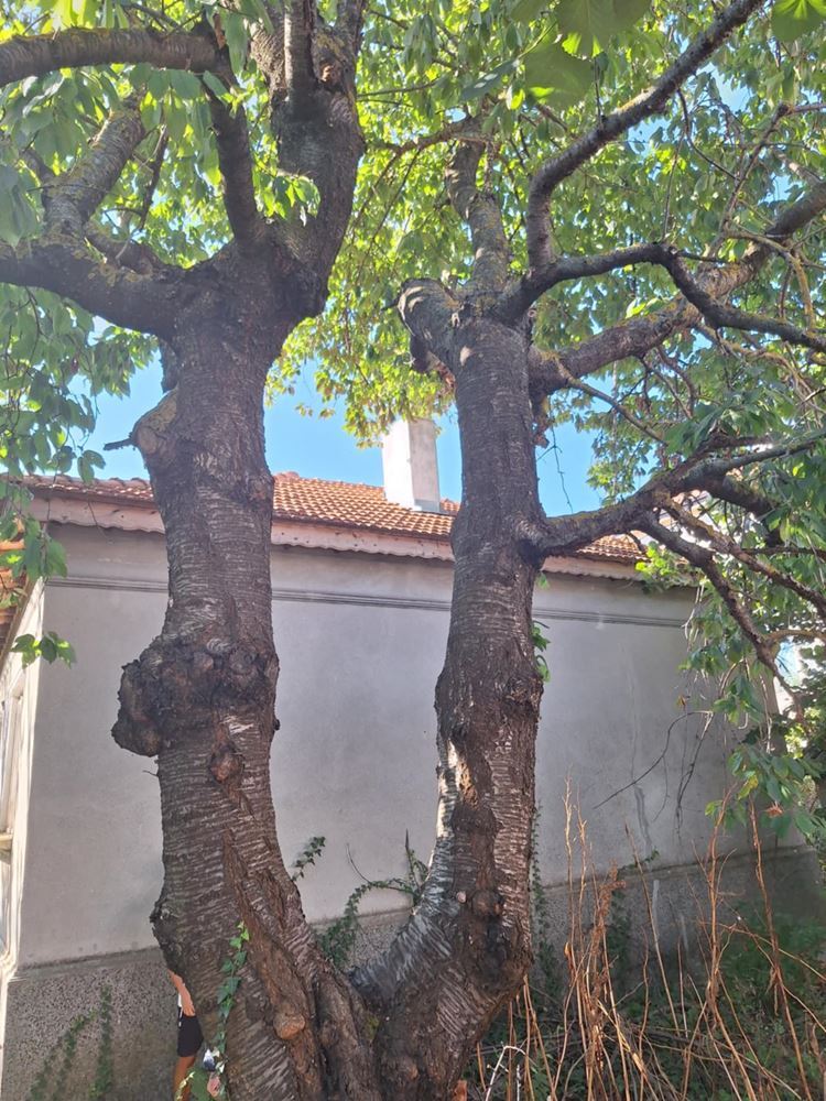 Къща в гр.Каварна - Агенция за недвижими имоти Варна - Екипът, имот 3