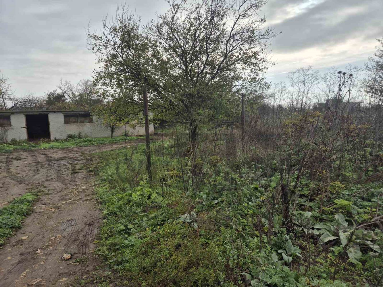 Парцел в регулация село Божурец - Агенция за недвижими имоти Варна - Екипът, имот 2