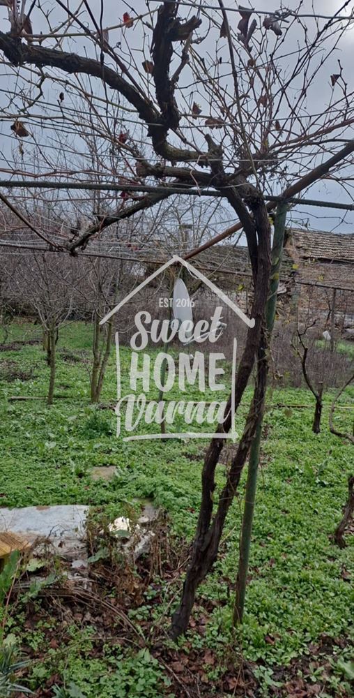 Къща с.Генерал- Киселово - Агенция за недвижими имоти Варна - Екипът, имот 1